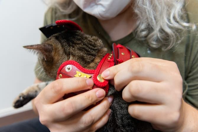 Amazon | SAMURAI AGE ネコ用 ライト鎧 忍者 超軽量 S,M,Lサイズ (鎧＋